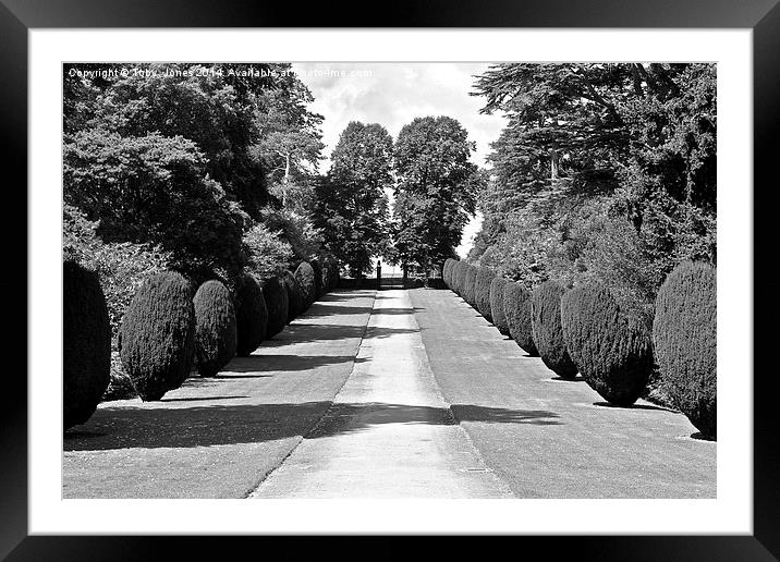 Tree Lined Path Framed Mounted Print by Toby  Jones