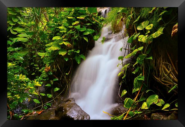 Flowing Silk Framed Print by Pete White