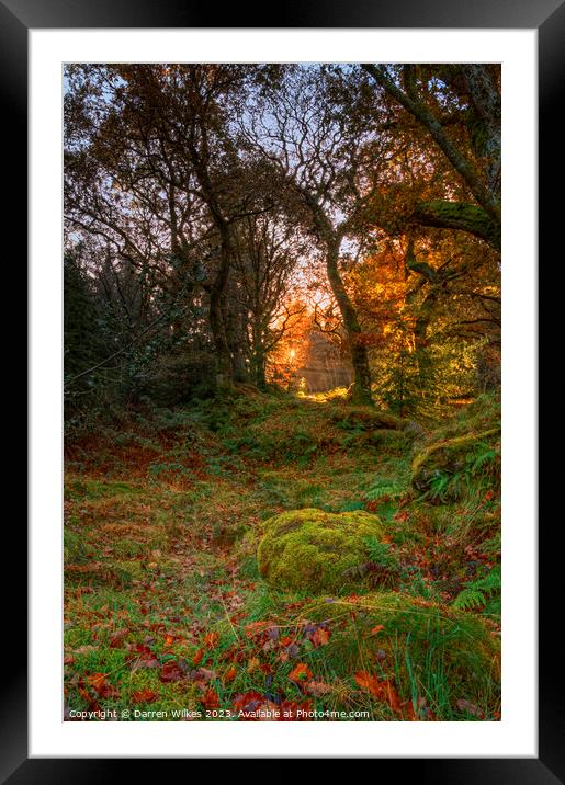 Gwydir Forest Llyn Geirionydd Llanrwst Framed Mounted Print by Darren Wilkes