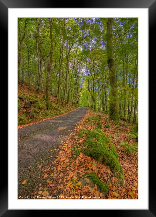 A Colourful Autumn Drive Framed Mounted Print by Darren Wilkes