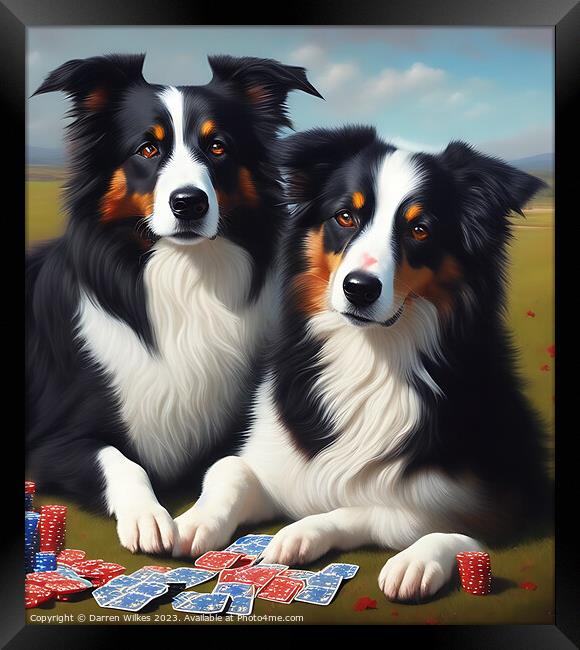 Border Collie Playing Cards Framed Print by Darren Wilkes
