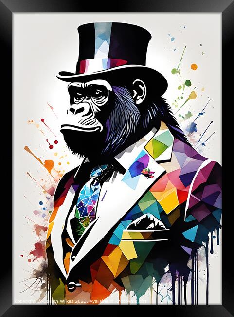 Dapper Gorilla Maestro Framed Print by Darren Wilkes