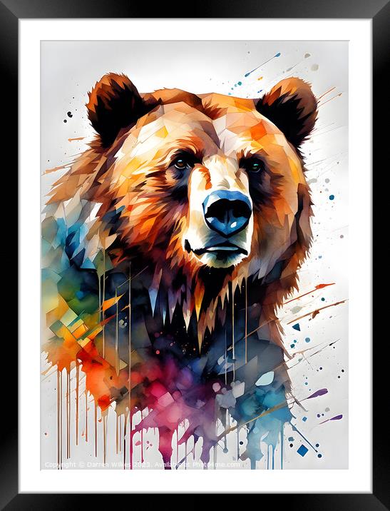 Grizzly with watercolour splashes Framed Mounted Print by Darren Wilkes
