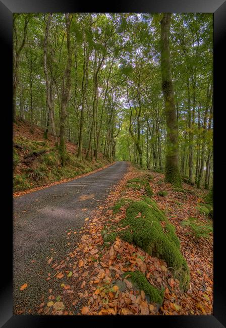  Autumn Road To Llyn Crafnant Framed Print by Darren Wilkes