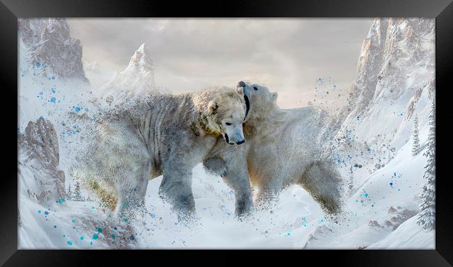 Polar Bear Mountains Framed Print by Darren Wilkes