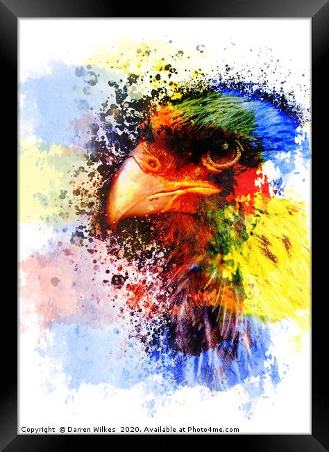 Harris Hawk Pop Art Print Framed Print by Darren Wilkes