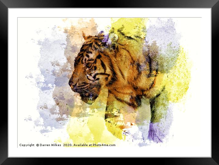 Digital Tiger Art  Framed Mounted Print by Darren Wilkes