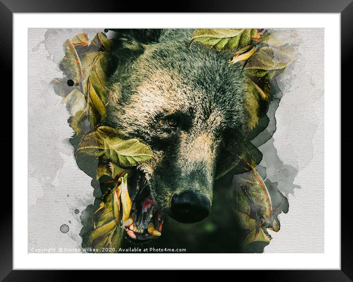 Bear Leaves Framed Mounted Print by Darren Wilkes