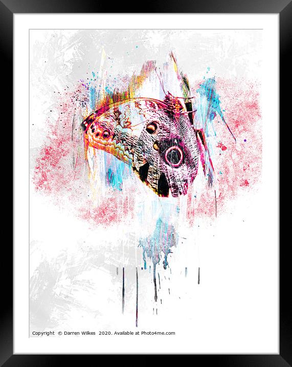 Owl Butterfly Art Framed Mounted Print by Darren Wilkes
