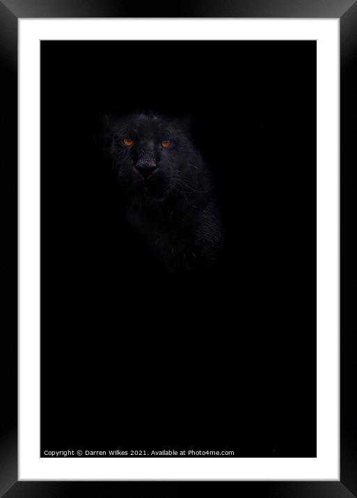 Black Jaguar - In The Shadows  Framed Mounted Print by Darren Wilkes