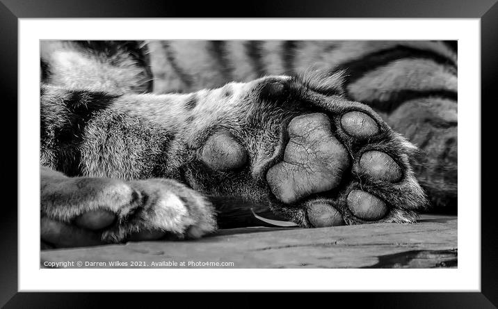 Your Tiger Feet Framed Mounted Print by Darren Wilkes