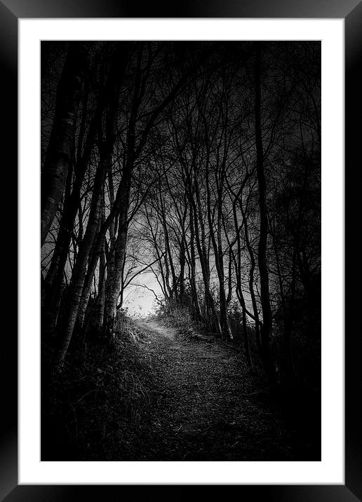 Tunnel in the Woods Framed Mounted Print by Matthew Dartford