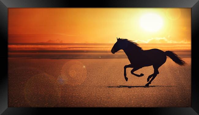 silhouette of the black horse galloping alone on the beach Framed Print by Guido Parmiggiani