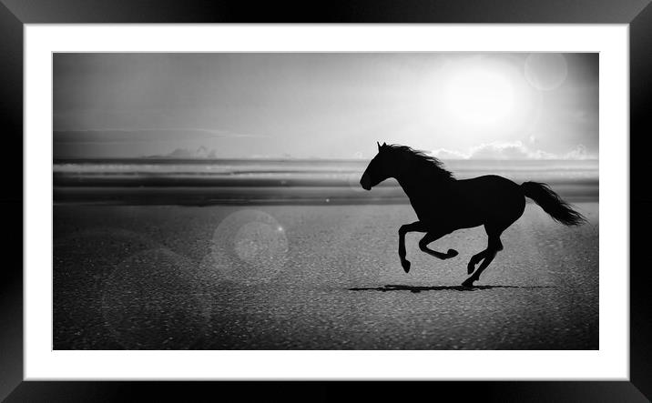 silhouette of the black horse galloping alone on the beach Framed Mounted Print by Guido Parmiggiani