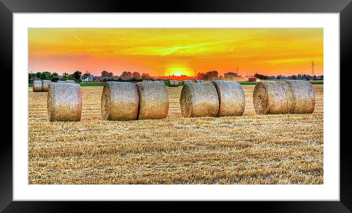 round bales in Modena, Italy Framed Mounted Print by Guido Parmiggiani