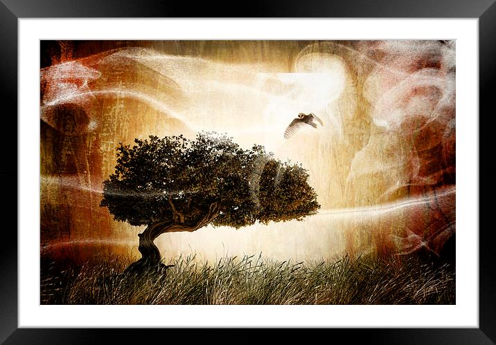 The magic tree Framed Mounted Print by Guido Parmiggiani