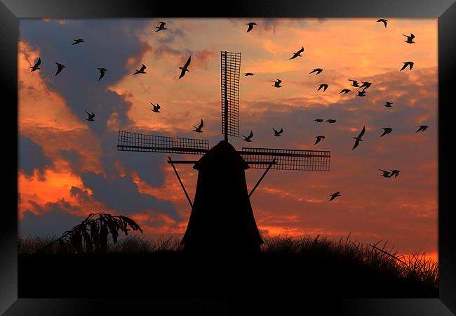  mill and gulls at sunset   Framed Print by Guido Parmiggiani