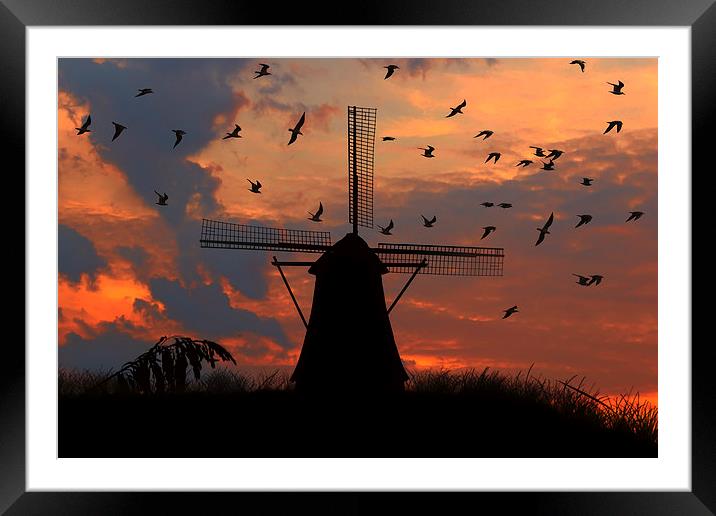  mill and gulls at sunset   Framed Mounted Print by Guido Parmiggiani