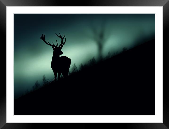 deer in the Wood Framed Mounted Print by Guido Parmiggiani