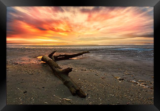 Low tide at sunset. Framed Print by Guido Parmiggiani