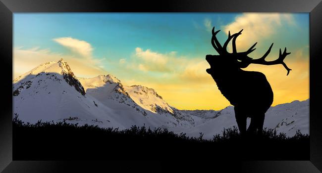 Deer with snowy mountains in the background, Framed Print by Guido Parmiggiani