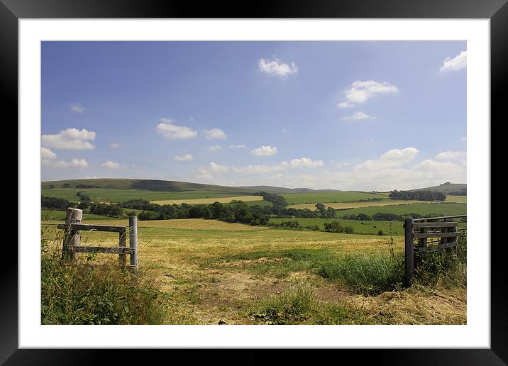 Scottish Countryside in the Summer Framed Mounted Print by Nicola Topping