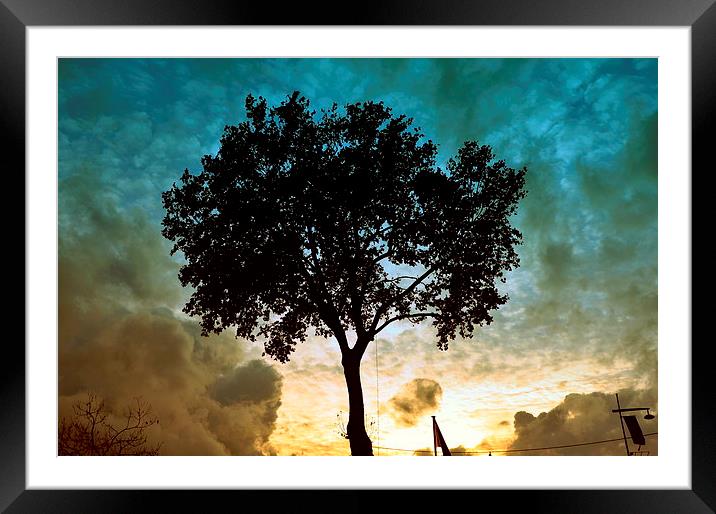 Tree & Clouds Framed Mounted Print by Marco Buresti