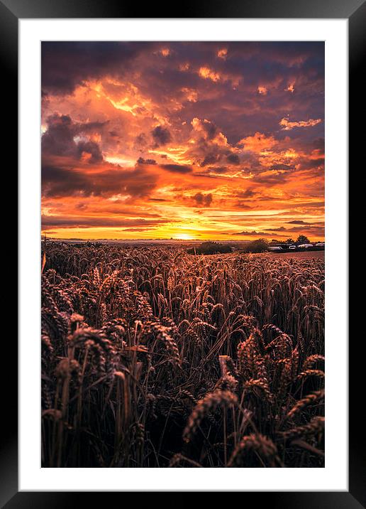  Red evening Framed Mounted Print by ZI Photography
