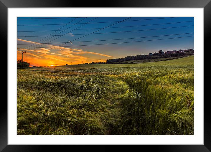 Follow the Path  Framed Mounted Print by ZI Photography