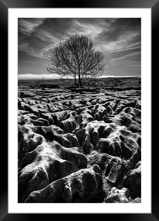  Malham Tree Black and White Framed Mounted Print by ZI Photography