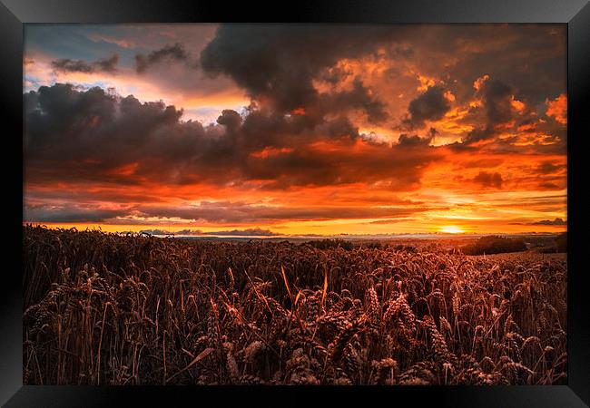  Red sky at night  Framed Print by ZI Photography