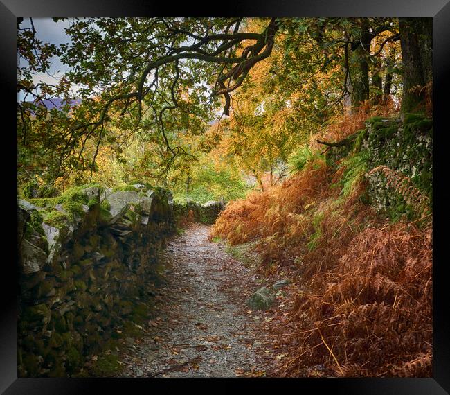 Autumn Lake District path Framed Print by Ceri Jones