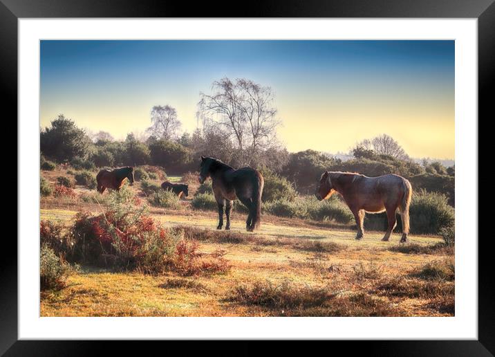 Outdoor field Framed Mounted Print by Ceri Jones