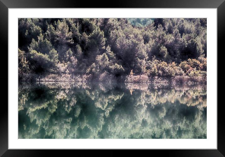 Green Reflections Framed Mounted Print by Ceri Jones