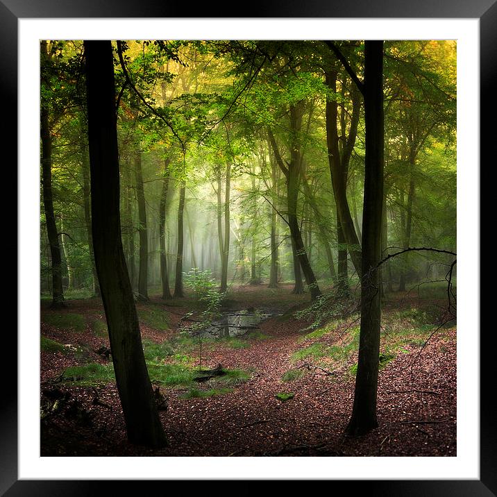 Magical Woods Framed Mounted Print by Ceri Jones