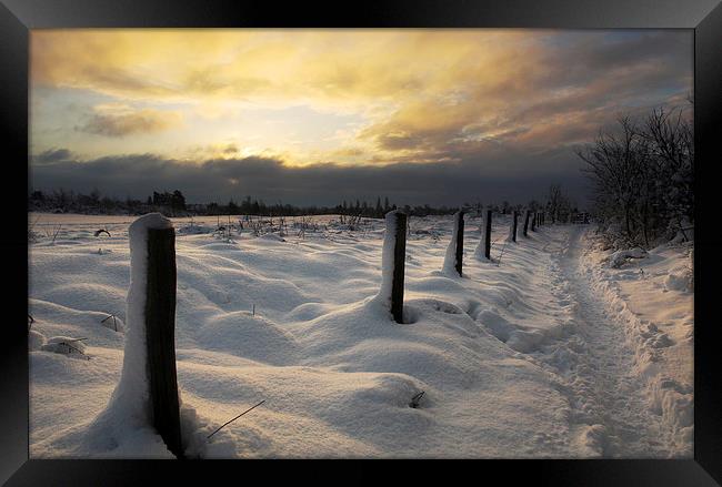 Winter Sunrise Framed Print by Ceri Jones