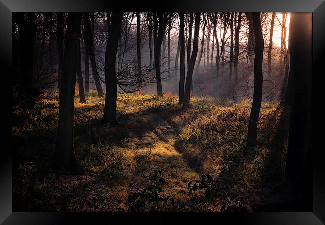 Winter Woodland Mist Framed Print by Ceri Jones