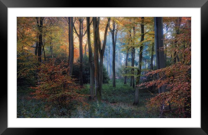 Early Autumn Morning Framed Mounted Print by Ceri Jones