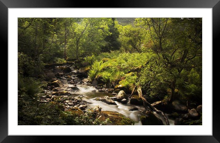 The Little Stream Framed Mounted Print by Ceri Jones