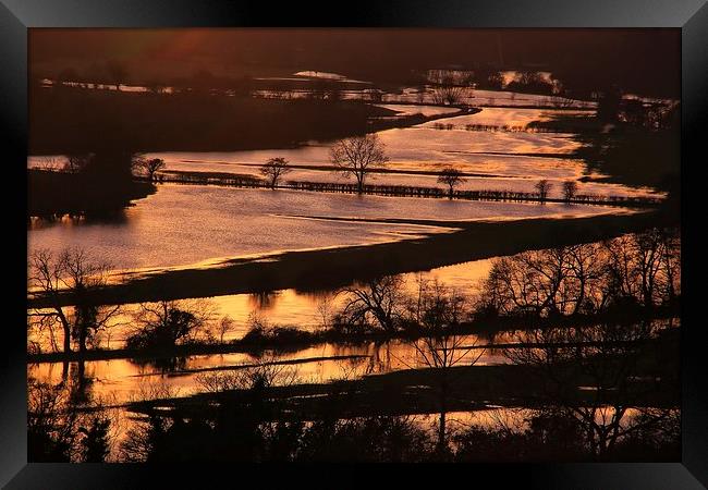 Thames Flood at Sunset Framed Print by Ceri Jones