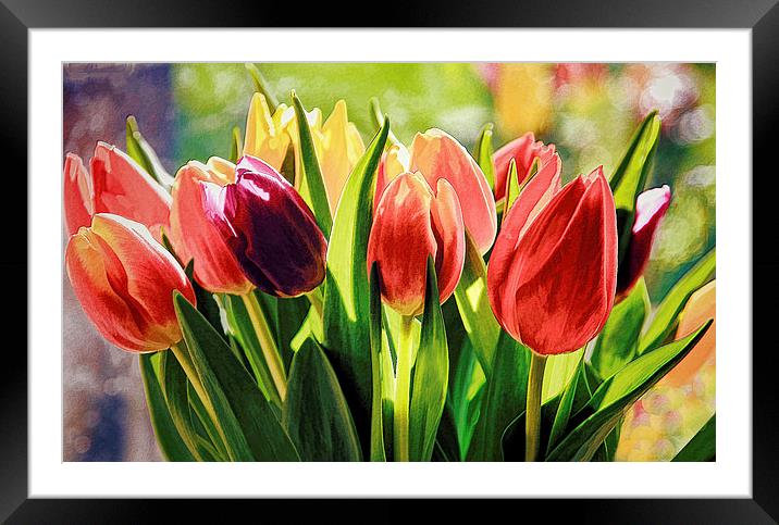 Photo-Art Bunch of Tulips Framed Mounted Print by Ceri Jones