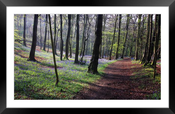 Spring Woods Framed Mounted Print by Ceri Jones