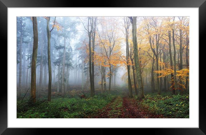  Two Woods Framed Mounted Print by Ceri Jones