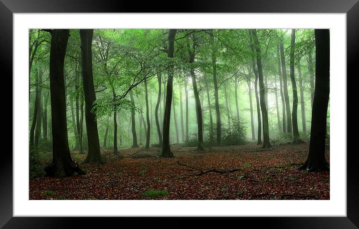  Summer Misty Woods Framed Mounted Print by Ceri Jones