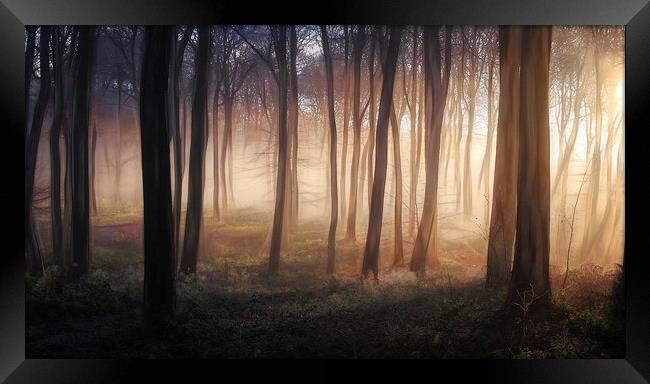 Misty Winter Woods Framed Print by Ceri Jones