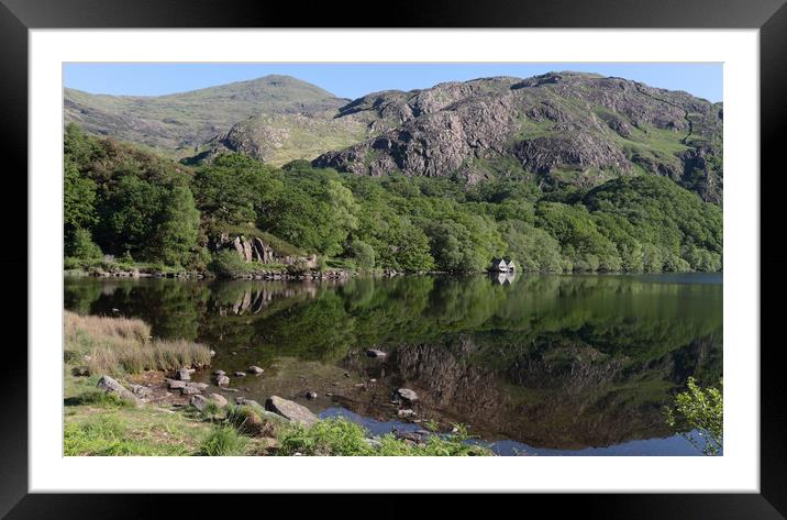 Llyn Dinas Framed Mounted Print by Ceri Jones