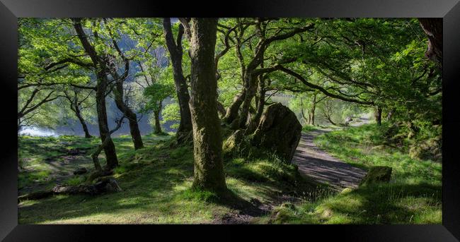 Lakeside of Llyn Dinas Framed Print by Ceri Jones