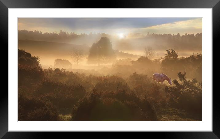 New Forest Dawn Framed Mounted Print by Ceri Jones