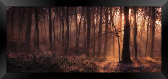 Winter Woodland Dawn Framed Print by Ceri Jones