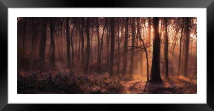 Winter Woodland Dawn Framed Mounted Print by Ceri Jones